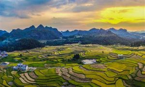 數(shù)字鄉(xiāng)村行業(yè)分析 2022數(shù)字鄉(xiāng)村市場規(guī)模與數(shù)字鄉(xiāng)村市場前景分析