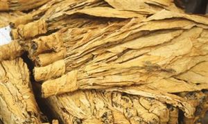 全國(guó)卷煙產(chǎn)量分析 煙草物流行業(yè)發(fā)展需求如何？