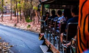 2022自助旅游行業(yè)前景及市場現(xiàn)狀分析
