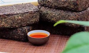 2022年茯茶行業(yè)營(yíng)銷策略及市場(chǎng)調(diào)研報(bào)告分析