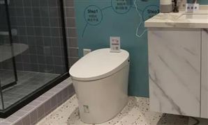 中國智能馬桶市場需求分析 智能馬桶行業(yè)市場份額如何?