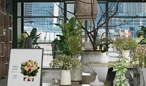 2022花店市場規(guī)模現(xiàn)狀及發(fā)展趨勢深度分析