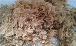 紙漿行業(yè)現(xiàn)狀分析 紙漿市場調(diào)研