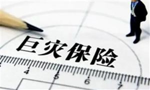 2022年巨災(zāi)保險行業(yè)發(fā)展研究及市場需求分析