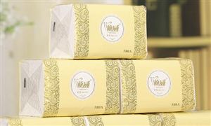 居衛(wèi)生用紙市場(chǎng)行業(yè)的發(fā)展現(xiàn)狀