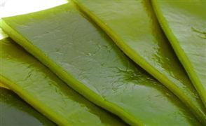 藻類食品規(guī)模現(xiàn)狀 2022藻類食品發(fā)展趨勢