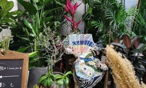 2022年花店行業(yè)現狀及發(fā)展前景分析