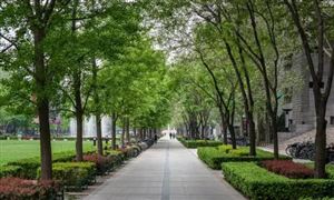 校園一卡通行業(yè)現(xiàn)狀 教育信息化助推一卡通行業(yè)發(fā)展