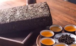 茯茶產(chǎn)業(yè)發(fā)展前景及投資價(jià)值評(píng)估