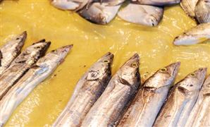 帶魚養(yǎng)殖行業(yè)市場環(huán)境 帶魚養(yǎng)殖行業(yè)市場發(fā)展前景分析