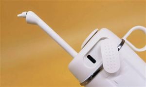 沖牙器行業(yè)市場發(fā)展現(xiàn)狀 沖牙器行業(yè)商業(yè)模式分析