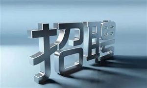 2022年招聘系統(tǒng)行業(yè)整體規(guī)模及市場份額分析