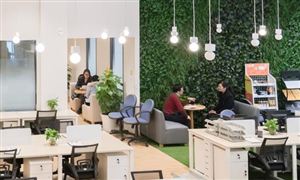 企業(yè)孵化器是什么? 企業(yè)孵化器?主要結(jié)構(gòu)和服務(wù)內(nèi)容