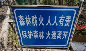 森林防火行業(yè)市場(chǎng)規(guī)模占比如何?森林防火行業(yè)市場(chǎng)趨勢(shì)分析