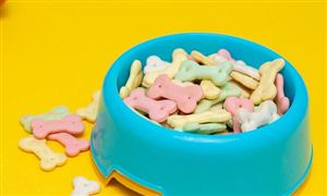 寵物食品行業(yè)內(nèi)企業(yè)經(jīng)營模式怎樣?寵物食品行業(yè)市場規(guī)模分析