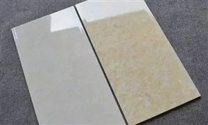 2022年釉面磚行業(yè)現(xiàn)狀及發(fā)展前景分析
