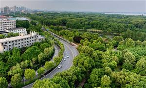 2022-2027年中國城市園林綠化行業(yè)