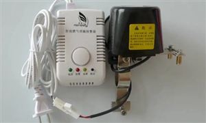 2022年燃?xì)鈭?bào)警器行業(yè)現(xiàn)狀及發(fā)展前景分析