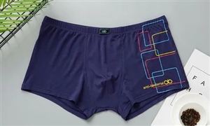 2022年男士內(nèi)褲行業(yè)現(xiàn)狀及發(fā)展前景分析