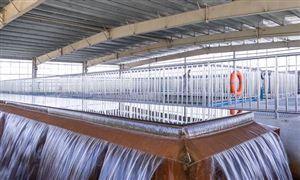 水凈化產業(yè)市場規(guī)模與發(fā)展趨勢研究