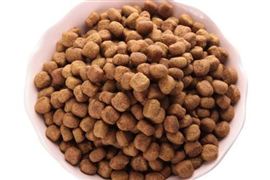 寵物食品行業(yè)現(xiàn)狀與市場發(fā)展前景分析