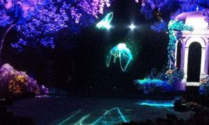 3D立體影像市場(chǎng)現(xiàn)狀及發(fā)展趨勢(shì)研究