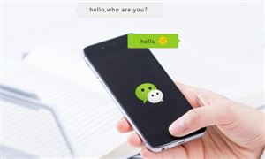 2022微信小程序電商行業(yè)深度調(diào)研及前景分析報(bào)告