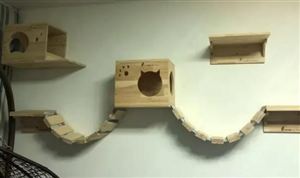 寵物玩具行業(yè)市場調(diào)研 寵物玩具行業(yè)發(fā)展趨勢預測