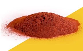 蝦青素行業(yè)市場調(diào)研 蝦青素行業(yè)發(fā)展前景分析