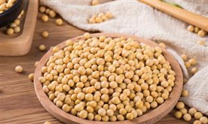 大豆系列期權(quán)今日上市 2022中國大豆油行業(yè)市場深度調(diào)研分析