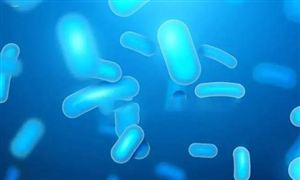 母乳低聚糖行業(yè)現(xiàn)狀分析 國內(nèi)布局企業(yè)不斷增加