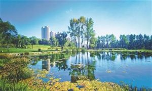 2022年城市公園規(guī)劃建設(shè)行業(yè)發(fā)展前景及市場(chǎng)趨勢(shì)調(diào)研分析