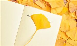 銀杏葉提取物市場(chǎng)發(fā)展方向 銀杏葉提取物市場(chǎng)規(guī)模分析