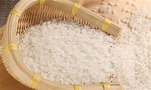 抓好抗高溫熱害干旱奪秋糧豐收 糧食行業(yè)分析2022