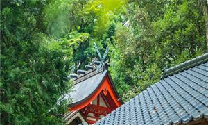 我國紅色旅游市場需要分析 紅色旅游行業(yè)市場分析?