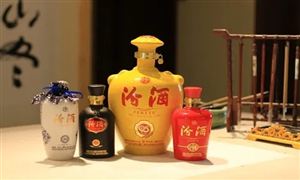 2022汾酒市場調(diào)查報告 汾酒行業(yè)發(fā)展規(guī)劃及市場定位分析