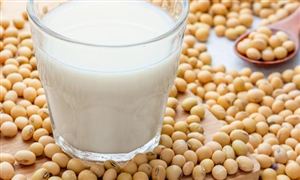 中國1-8月份大豆進(jìn)口同比下降8.6%至6.130萬噸  大豆加工行業(yè)發(fā)展調(diào)研