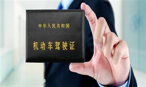 行業(yè)分析 中國(guó)駕培行業(yè)市場(chǎng)市場(chǎng)發(fā)展趨勢(shì)研究