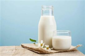 2022中國乳制品行業(yè)銷售額與發(fā)展趨勢調(diào)研