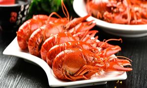中國小龍蝦行業(yè)產(chǎn)業(yè)鏈及發(fā)展現(xiàn)狀分析