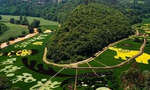 國慶假期文明旅游成亮麗風景 生態(tài)旅游產(chǎn)業(yè)調(diào)研分析2022