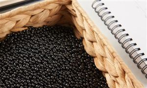 2022碳纖維制品行業(yè)分析報(bào)告及市場現(xiàn)狀分析