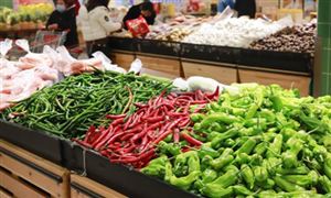 中國(guó)生鮮商超行業(yè)市場(chǎng)全景調(diào)研 從線下走向線上的私域之路