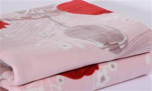 電熱毯市場(chǎng)消費(fèi)需求 電熱毯市場(chǎng)發(fā)展趨勢(shì)分析
