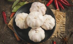 大蒜行業(yè)市場現(xiàn)狀分析? 大蒜加工制品將具有較好發(fā)展前景