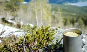 自然資源部出手 嚴肅查處 態(tài)修復行業(yè)全景調(diào)研與發(fā)展戰(zhàn)略咨詢