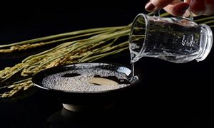 未來酒業(yè)經(jīng)濟會穩(wěn)中求進 保持穩(wěn)健增長是大趨勢 白酒行業(yè)發(fā)展規(guī)劃分析