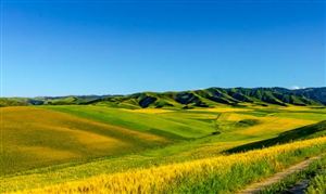 農(nóng)業(yè)旅游行業(yè)市場(chǎng)需求 農(nóng)業(yè)旅游行業(yè)發(fā)展前景分析