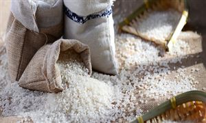 行業(yè)調(diào)研分析 大米市場運行情況總結2022