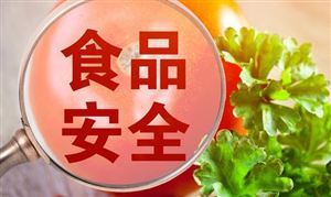 公開征求意見 事關食品添加劑 食品安全檢測行業(yè)市場深度分析及發(fā)展規(guī)劃咨詢綜合